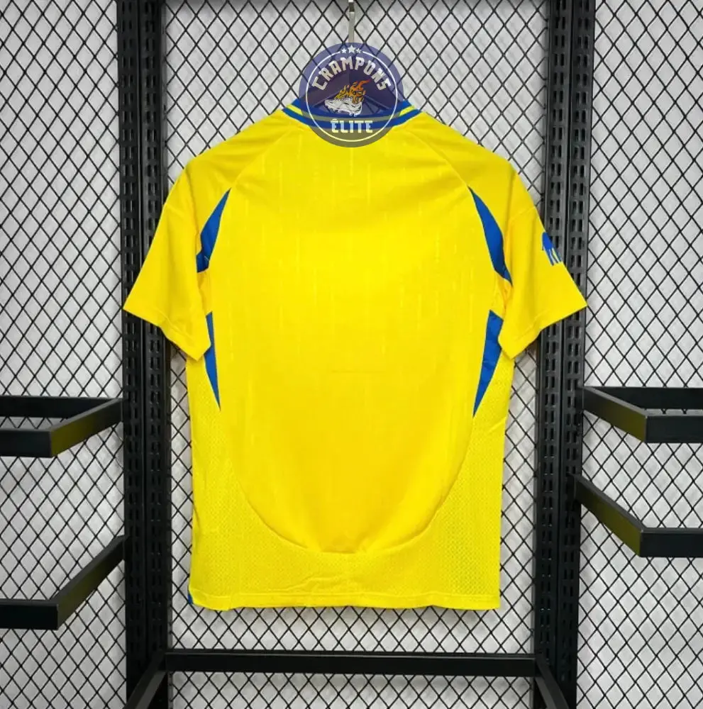 Al-Nassr 2024/25 Domicile - Image 3