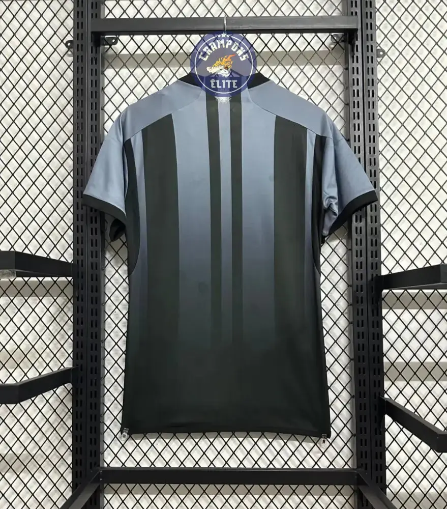Argentine 2024 Concept - Image 2