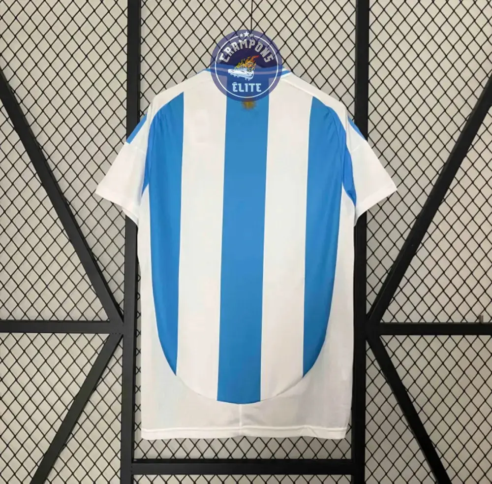 Argentine 2024 Domicile - Image 8
