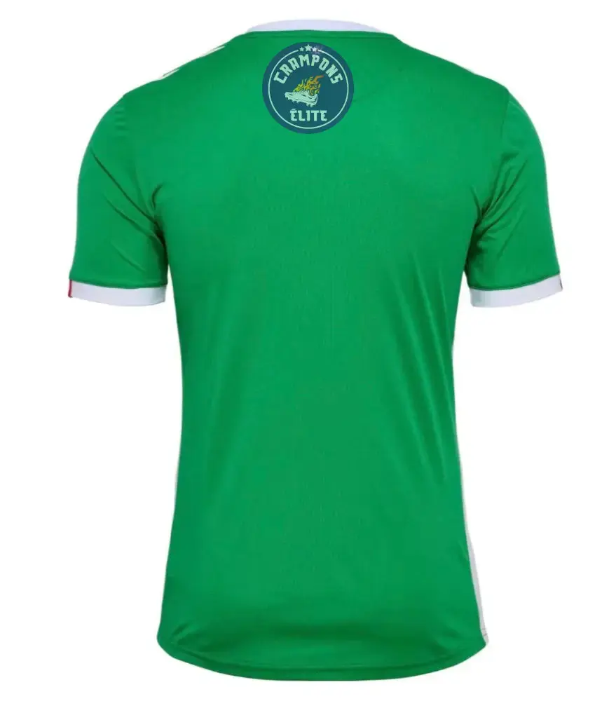ASSE 2024/25 Domicile - Image 2