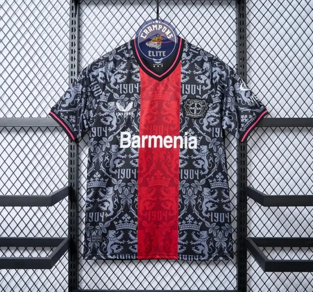 Bayer Leverkusen 2024/25 Concept