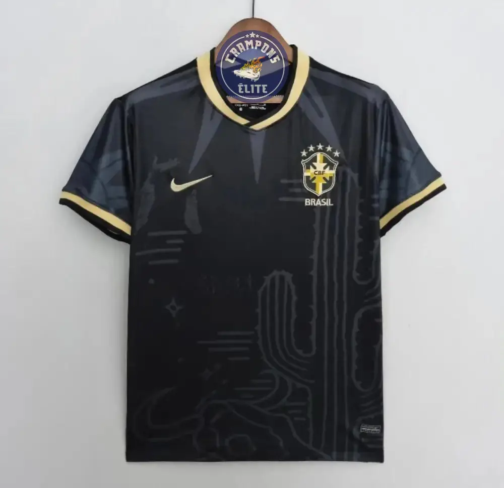 Brésil 2024 Concept