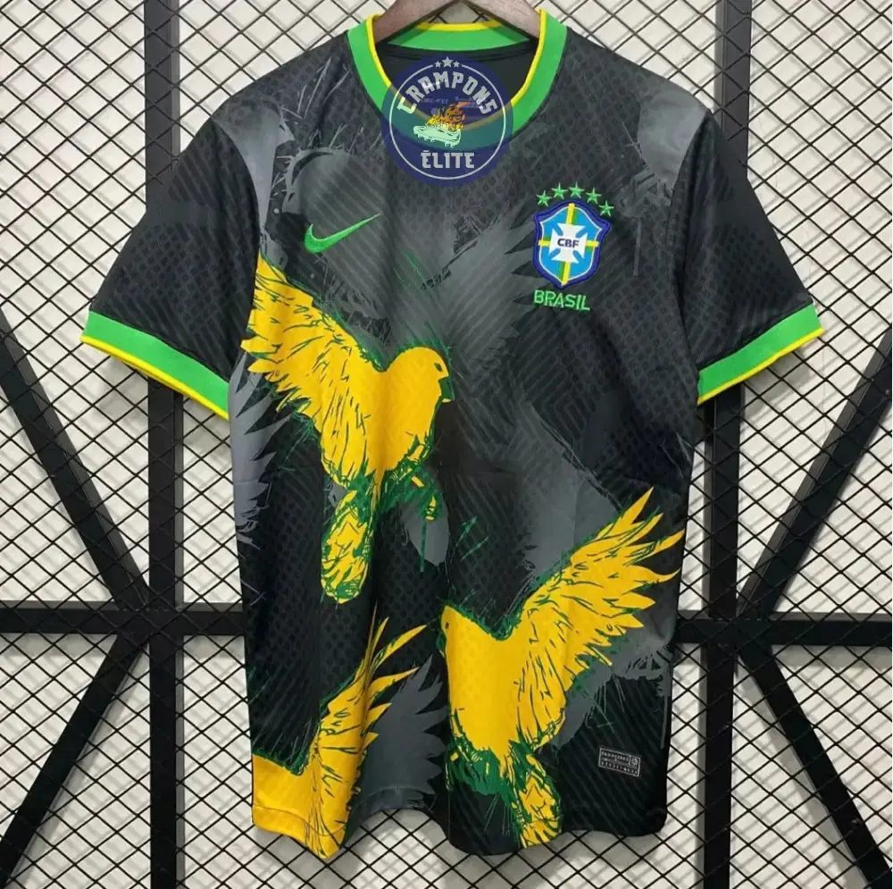 Brésil 2024 Concept