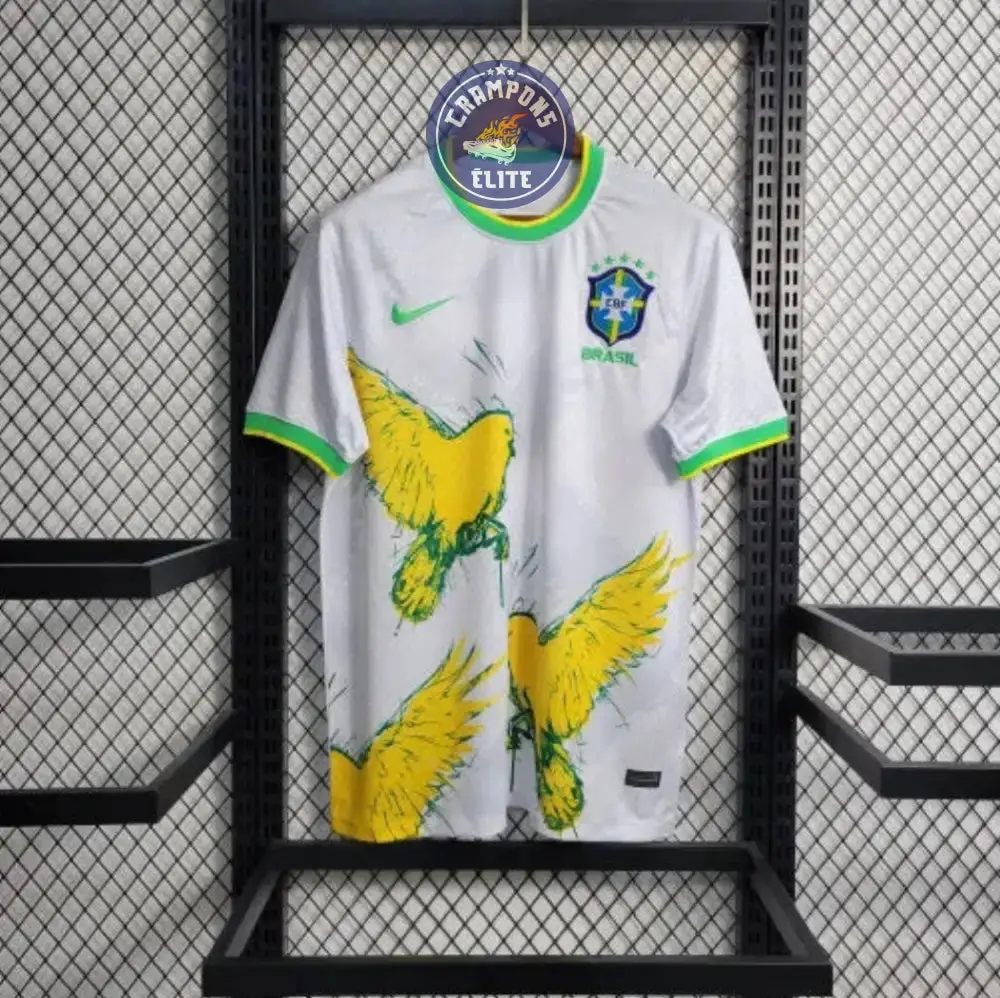 Brésil 2024 Concept