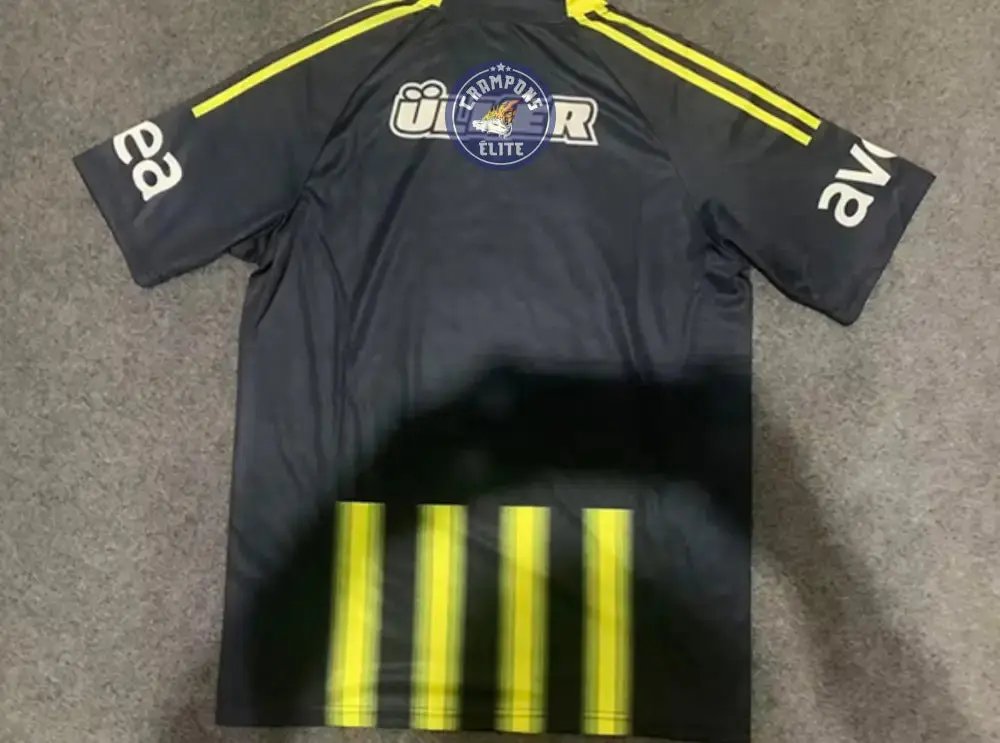 Fenerbahçe 2013/14 Domicile - Image 2