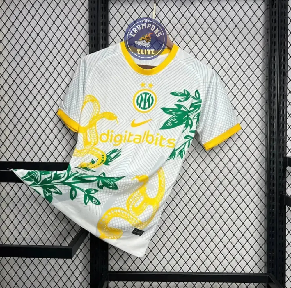 Inter Milan 2024/25 Concept - Image 2