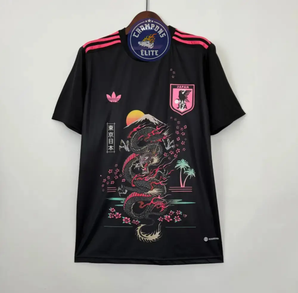 Japon 2024 Concept