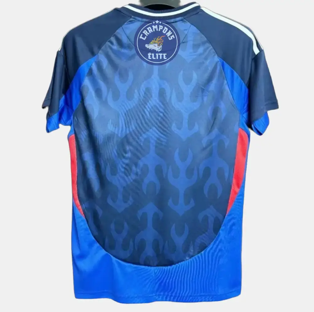 Japon 2024 Domicile - Image 2