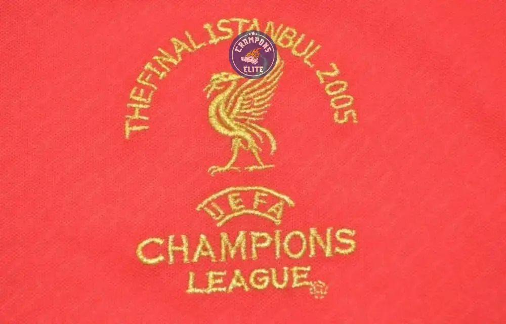 Liverpool 2004/05 Domicile - Image 4