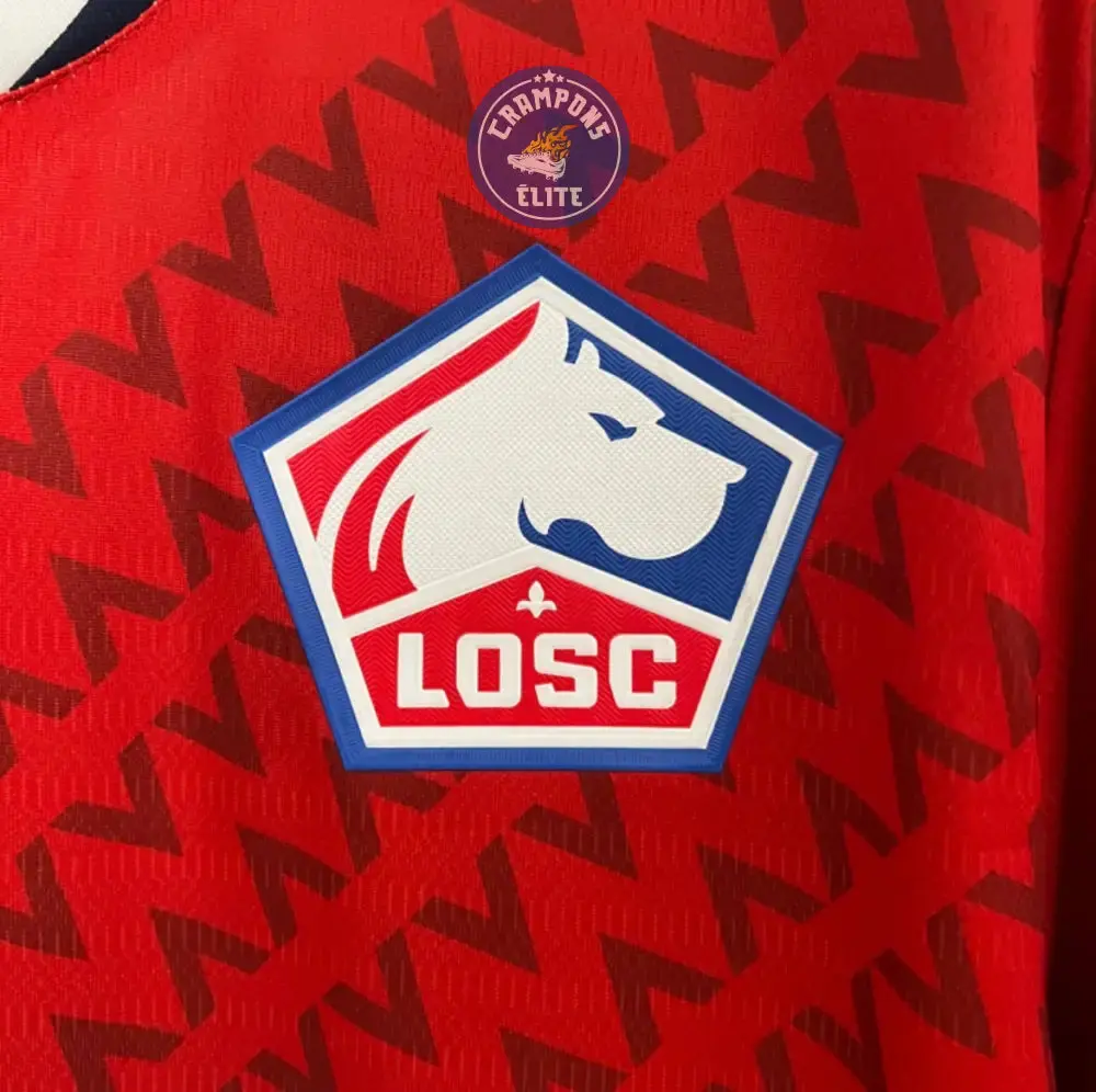 LOSC 2024/25 Domicile - Image 3