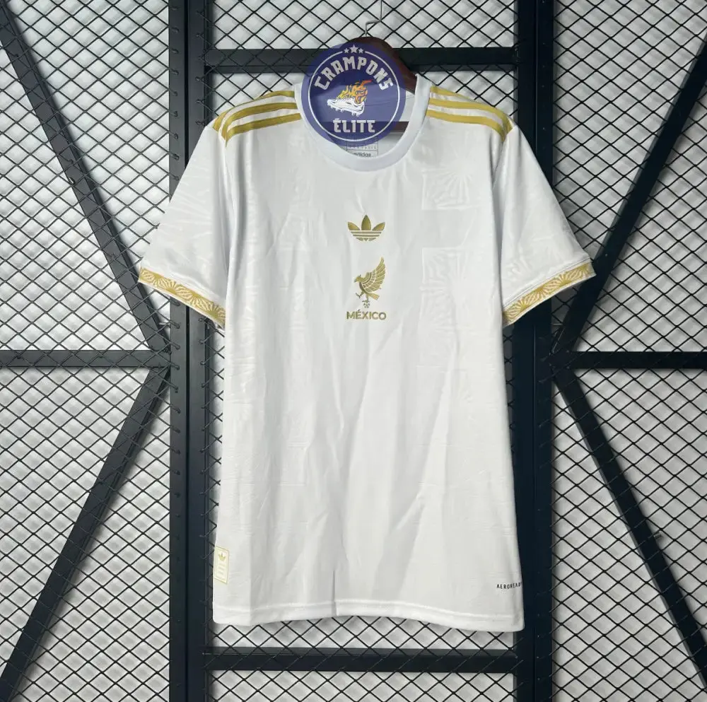 Mexique 2025 Concept