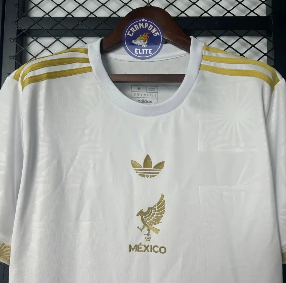 Mexique 2025 Concept - Image 3