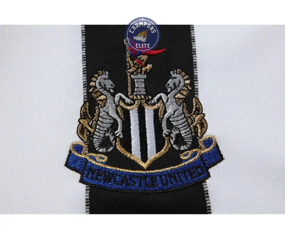 Newcastle 2000/01 Domicile - Image 5