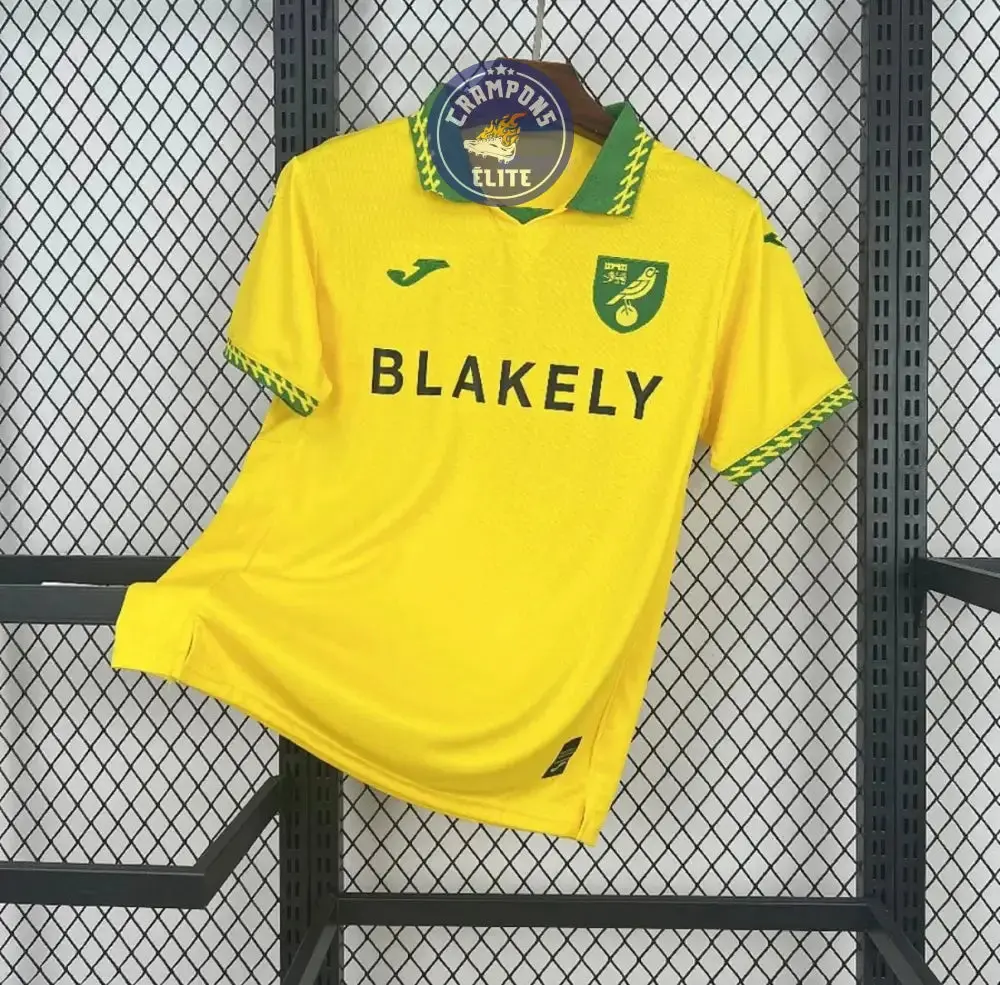 Norwich City 2025/26 Domicile