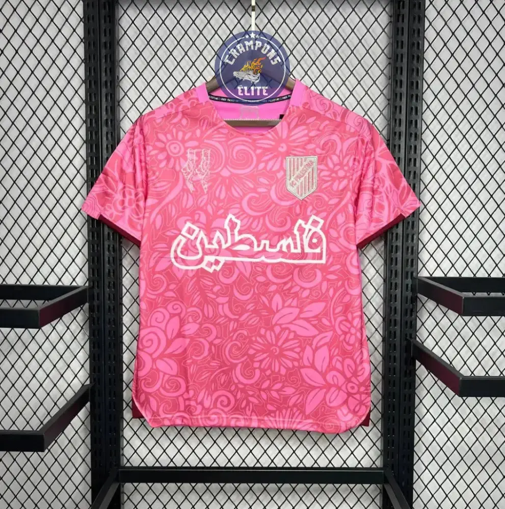 Palestine 2024 Concept - Image 2