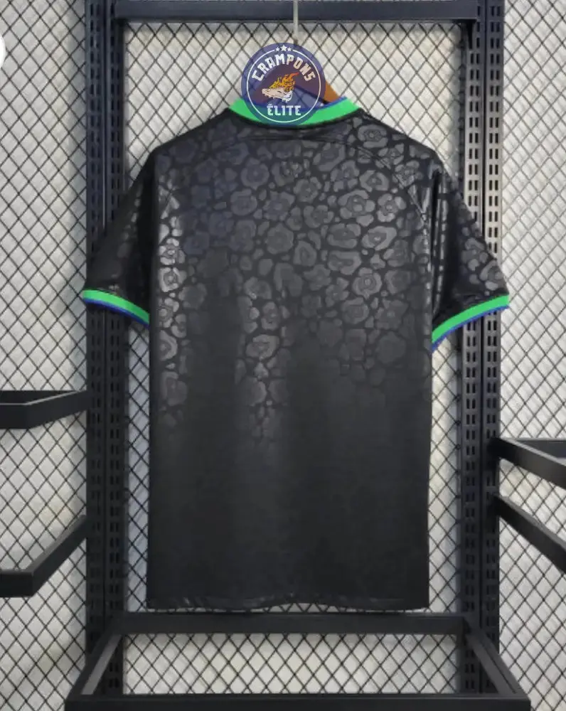 Brésil 2023 Concept - Image 2